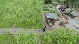 张子枫无效遮雨萌态尽显！陈赫调侃妹妹在雨里泡香肠