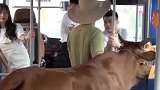 爆笑：自从看到了孩子的老师，我想复读的心就油然而生了