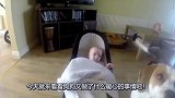 宝宝不想睡觉，狗狗就拽着宝宝去卧室，这狗的力气真大！
