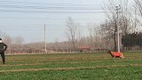 虽然狗子失败了，但这个飞天的动作，实在是太帅了！