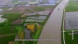 村民捕鱼遇石板，查阅族谱后猜是古墓，专家急忙赶来抢救