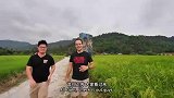 槟城爆好吃的咖喱鱿鱼炒面，只要9.9元，味道重口又美味！