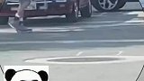 这位大爷在遛一种非常新奇的宠物