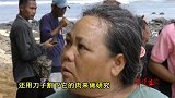 海怪尸体？地震过后海滩上出现巨型神秘白毛不明生物