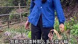小时候你们是不是经常被你妈这样打
