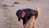 先做治沙草方格，然后种好每一棵梭梭树，在我眼里治沙人都是英雄
