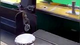 给船系缆绳也是个技术活