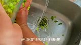 用榆树钱做美食，3分钟一张饼，纯绿色营养又好吃