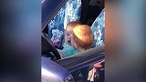 就一辆车，两个宝宝抢着开车，太好玩了吧！