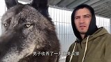 棕熊逃跑，被男子一脚踢到墙上，棕熊我不要面子啊
