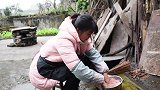 丫丫今天做酱香鸡翅根，一次吃11个鸡翅根，大口猛吃，真美味