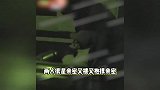 李沐宸疑与人发生争执，刘奕畅赶来两人街头拥吻，同回住处疑同居