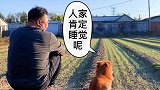 我是菠小萝