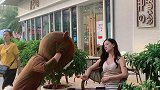 小熊偷吃美女的热狗结果这样操作