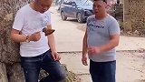 这哥们咋还给螃蟹喂奶了