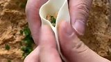 我的冬至来晚了，饺子教你这样包，这样包饺子真的简单又很方便！