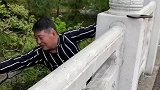为了吃上香椿，这大哥真的是拼了