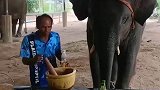 看样子铲屎官没少带它去逛夜店
