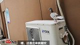 鸽子显露出“远走高飞”的野心，主人倾尽全力，也要信心不足了