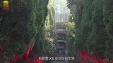 人刚去世之后，究竟能不能听见亲人的哭声