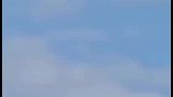 天生猎手！高空中锁定水底猎物一击即中