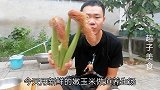 夏末初秋，喝汤最养人，超子用嫩玉米做道龙须枣茶，滋补又解暑