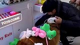 狗狗陪主人夹娃娃，满载而归
