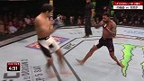 UFC-16年-《UFC终极格斗赛事精华》第13期：轻量级新星达里尤什激斗约翰逊-专题