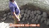 将废弃已久的枯井抽干，井下黑压压的一片，够全村吃好久了