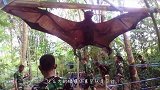 男子发现墙角有俩“蛇头”，走进一看，忍不住惊呼-见所未见！