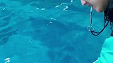 抖到蓬莱八仙过海  摸小海豚是什么感觉呢