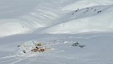 雪也分野的和家养的