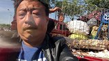 这群拉布拉多犬一只赛一只，一只比一只漂亮，大家来欣赏一下