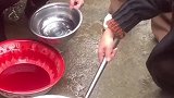 地方特色你们敢这样吃吗