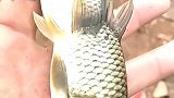 河里无意间抓到，这一幕把我看愣了，鬼知道这是什么鱼！