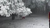 昆明下雪️难得一见，除了梁王山，大哨森林也是赏雪景的好地方