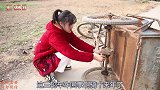 邻居小妹车链子掉了，毛妹来帮忙刚装上又拆掉，把小妹气的直哭