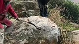 发现一块奇石，撬开以后才是惊艳的开始，像极了猪肉的纹理！