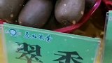 “陕果”到厦门旅游了