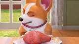 飞狗MOCO 短腿小柯基：鸡腿那么好吃，为什么我只能看不能吃