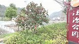 保安抓住采花贼，小伙满满都是套路，太有才了