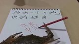 螃蟹：这理由，就问你服不服