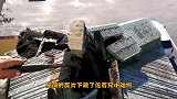小伙翻修屋顶，发现瓦片下藏着数百只动物，看清后无法淡定