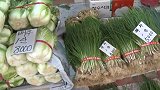 韩国大白菜30元一颗！腌泡菜的主妇们急了：简直是吃金菜