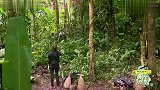 面对如此大的灶台，姜妍竟爱不释手，尽显厨娘的风范
