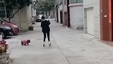 美女玩滑轮，被狗子吓倒在地，美女：我是人，你也是真狗