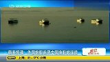 热点-广西5渔船疑遭越南炮艇袭扰-310船紧急救援