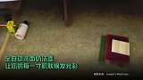 美少女必备？美国青年研发起床自动化妆机