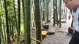 黄河之水天上来，这比黄河还奇怪，一定又是多年难见的奇景
