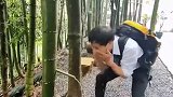 黄河之水天上来，这比黄河还奇怪，一定又是多年难见的奇景